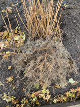 Bundle Packs & Bulk Discounts