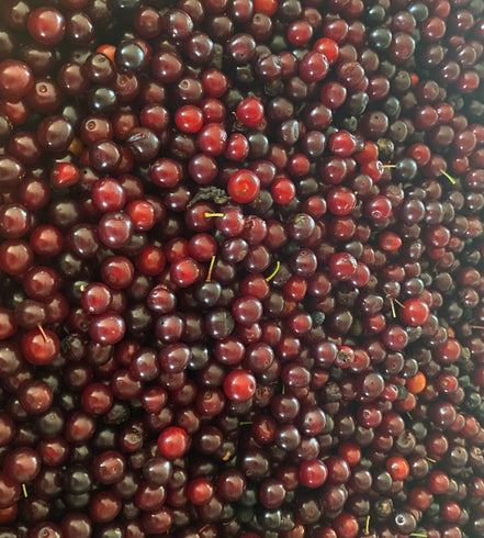 Chokecherry