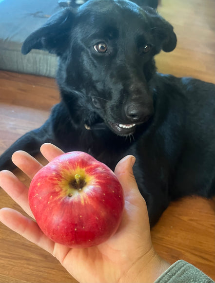 Apple ‘Wolf River'