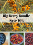 Big Berry Bundle