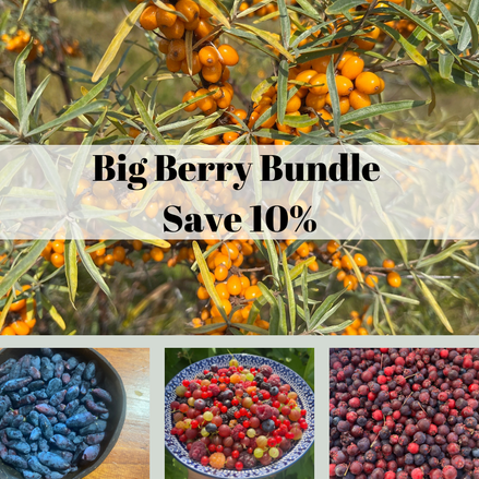 Big Berry Bundle