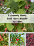Extremely Hardy Food Forest Bundle