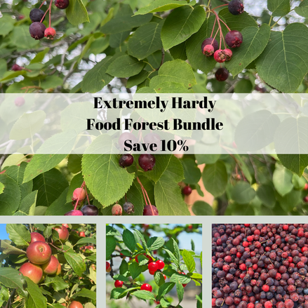 Extremely Hardy Food Forest Bundle