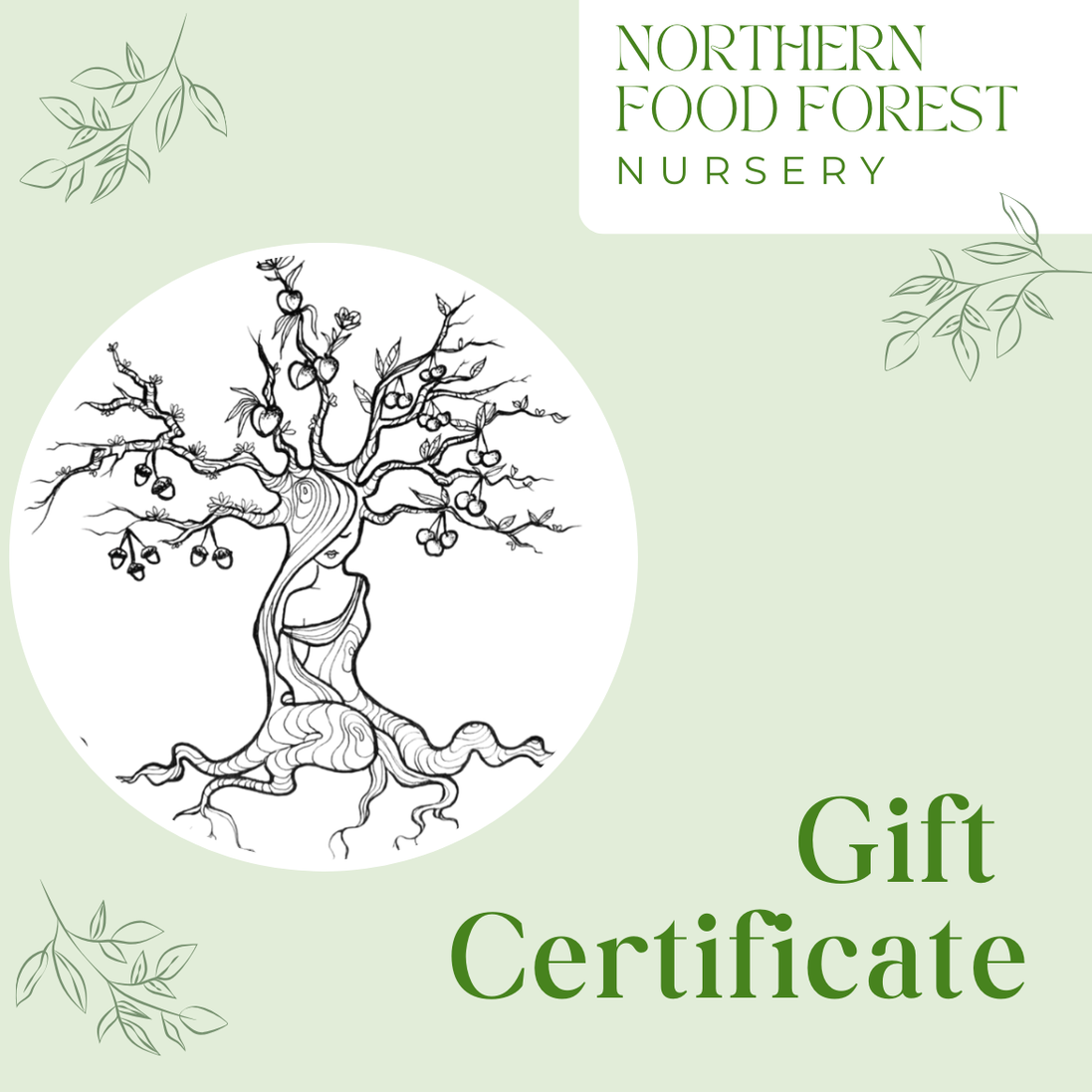 Northern Food Forest Nursery Gift Card