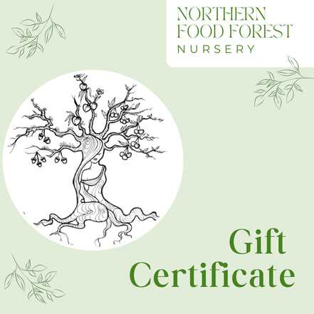 Northern Food Forest Nursery Gift Card