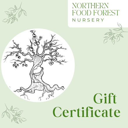 Northern Food Forest Nursery Gift Card