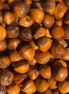 Hybrid Hazelnuts