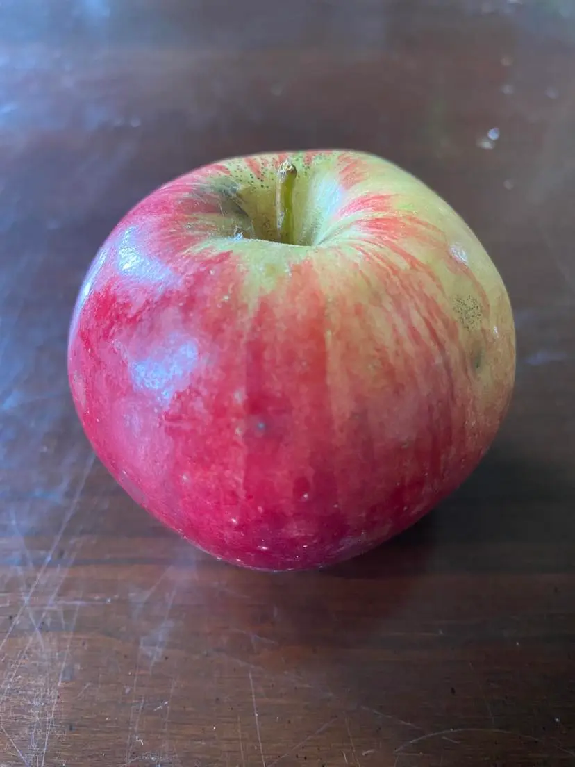 Apple ‘Sweet 16’