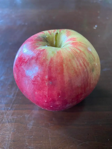 Apple ‘Sweet 16’